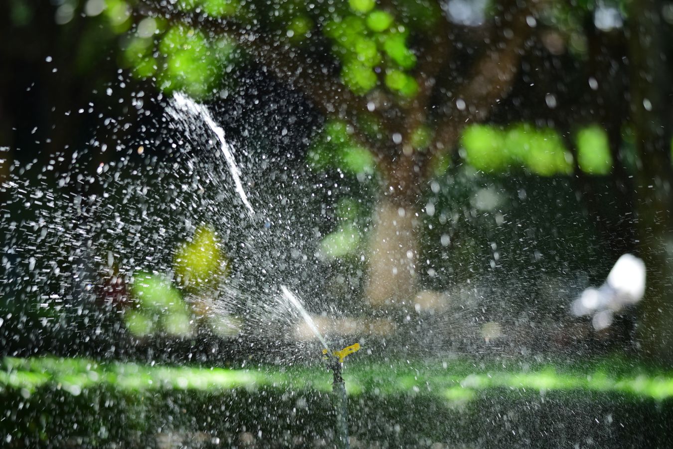Garden sprinkler watering a green residential lawn